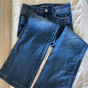 American Eagle Wide Leg Denim Trousers